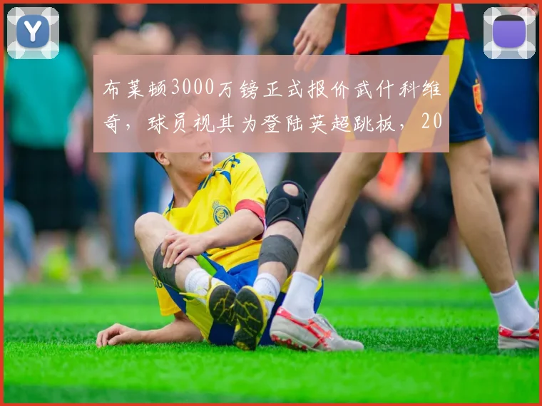 布莱顿3000万镑正式报价武什科维奇，球员视其为登陆英超跳板，2026夏窗转会最新动态解读