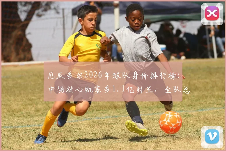 厄瓜多尔2026年球队身价排行榜：中场核心凯塞多1.1亿封王，全队总估值接近4亿欧元