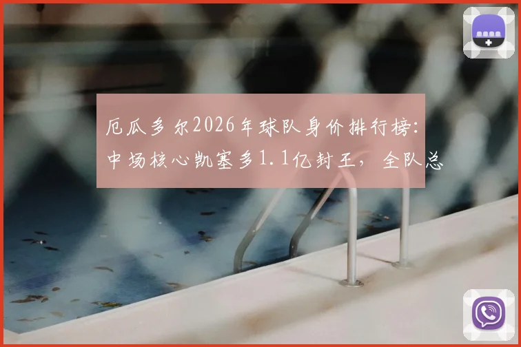 厄瓜多尔2026年球队身价排行榜：中场核心凯塞多1.1亿封王，全队总估值接近4亿欧元